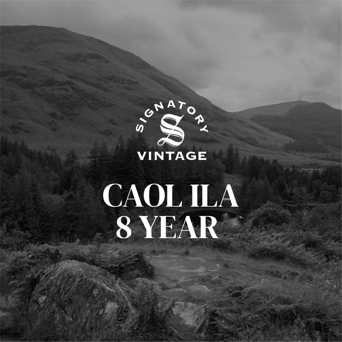 Caol Ila 8 Year